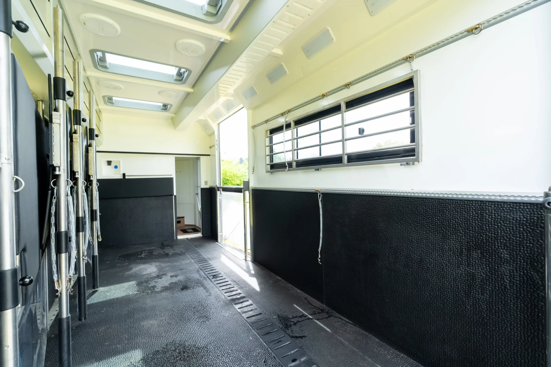 GP Renting - Horse Transport Rental (137)